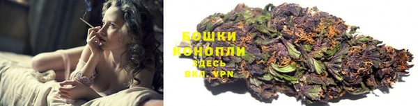 бошки Аркадак