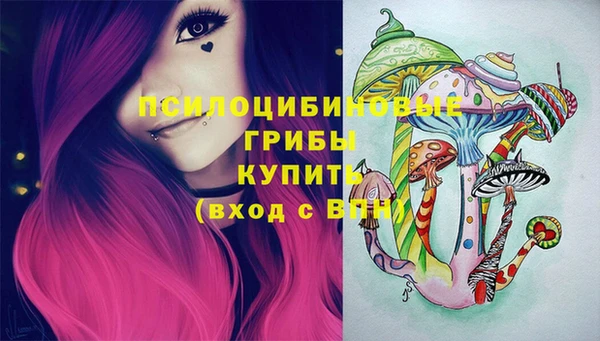 бошки Аркадак