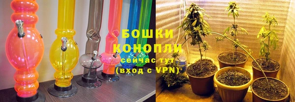 бошки Аркадак