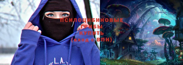 бошки Аркадак